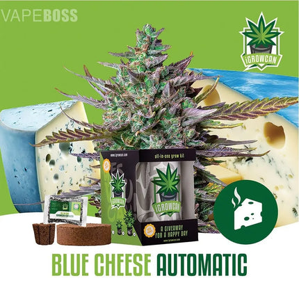 Royal Queen Seeds iGrowCan All-In-One Hemp Grow Kit - Vape Boss