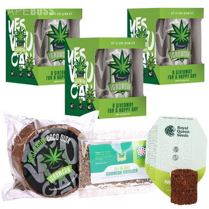 Royal Queen Seeds iGrowCan All-In-One Hemp Grow Kit - Vape Boss