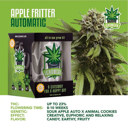 Royal Queen Seeds iGrowCan All-In-One Hemp Grow Kit - Vape Boss