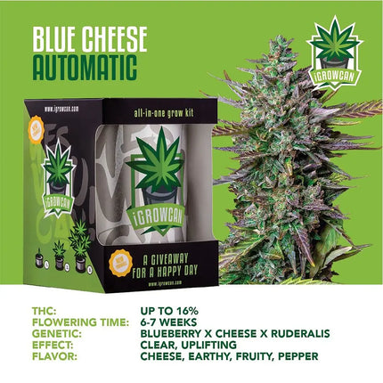Royal Queen Seeds iGrowCan All-In-One Hemp Grow Kit - Vape Boss