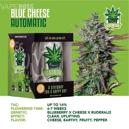 Royal Queen Seeds iGrowCan All-In-One Hemp Grow Kit - Vape Boss