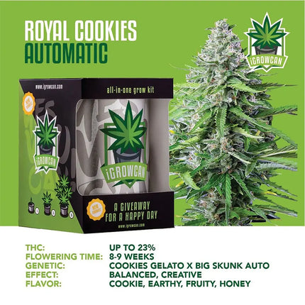 Royal Queen Seeds iGrowCan All-In-One Hemp Grow Kit - Vape Boss