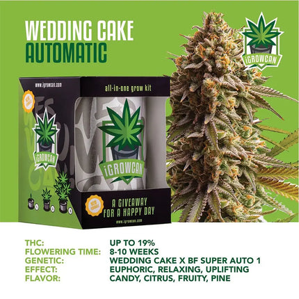 Royal Queen Seeds iGrowCan All-In-One Hemp Grow Kit - Vape Boss