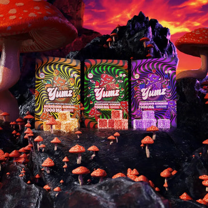 YUMZ - Magic Nootropic Gummies ( Bundle ) - Vape Boss