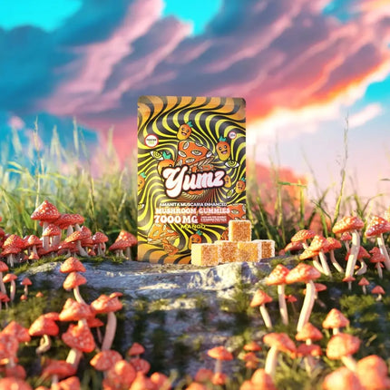 YUMZ - Mango ( Magic Nootropic Gummies ) - Vape Boss