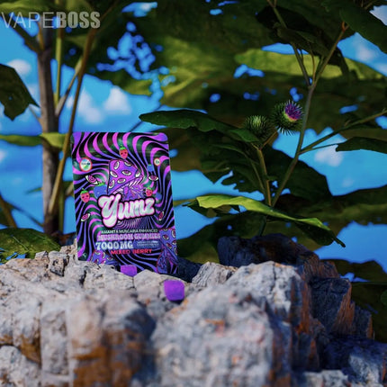 YUMZ - Mixed Berry ( Magic Nootropic Gummies ) - Vape Boss