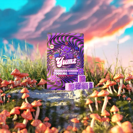 YUMZ - Mixed Berry ( Magic Nootropic Gummies ) - Vape Boss