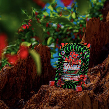 YUMZ - Watermelon ( Magic Nootropic Gummies ) - Vape Boss